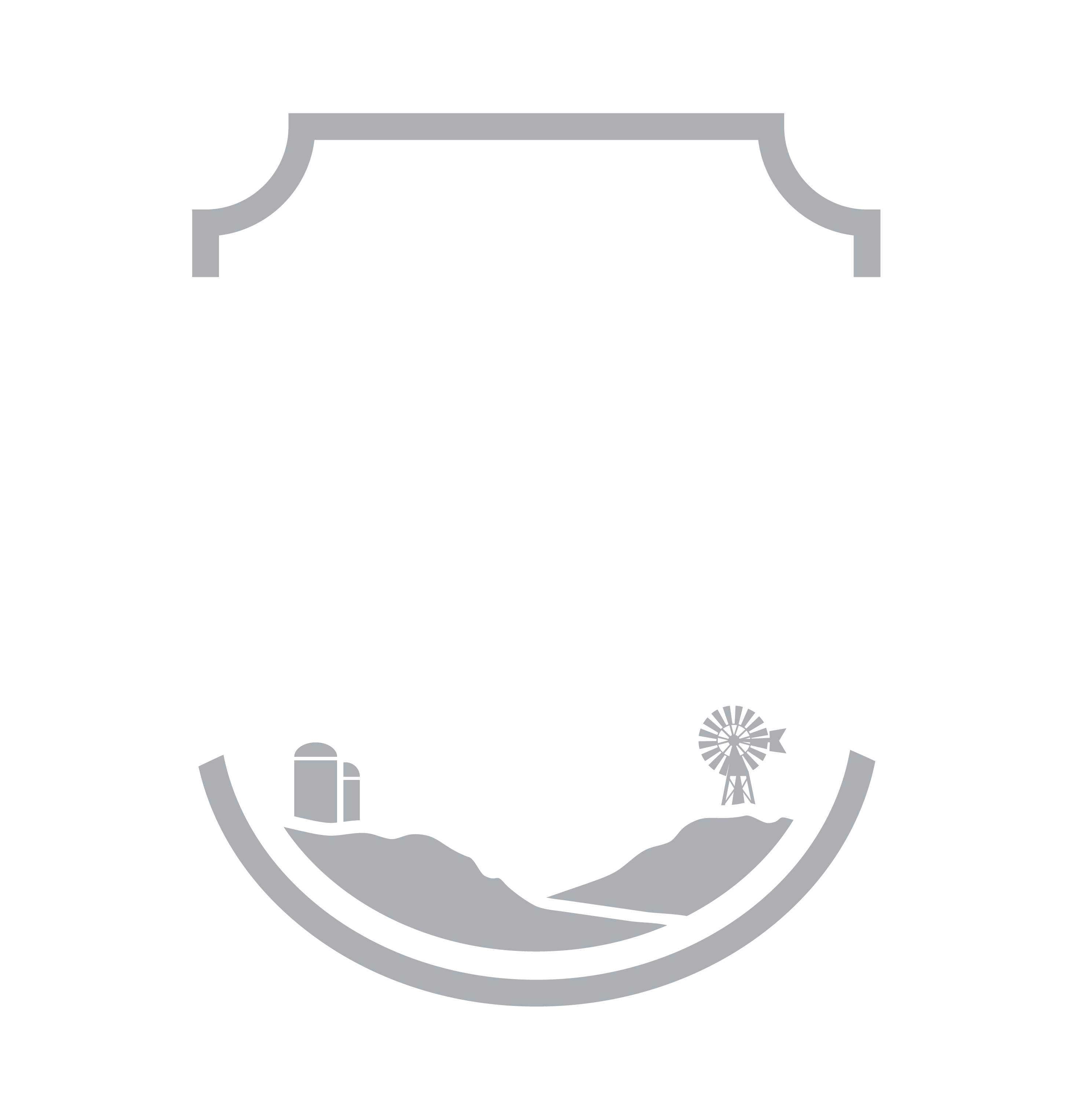 Country Carnival Logo