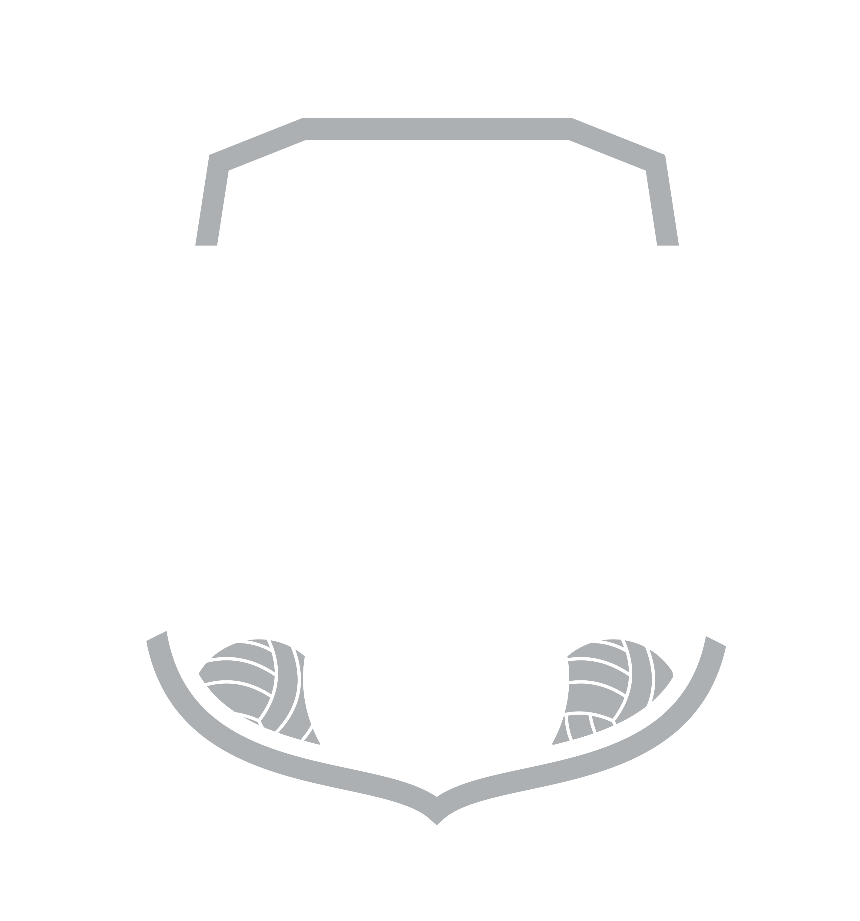 Primary Schools Gala Logo